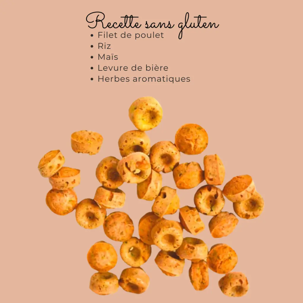 biscuits chien naturel