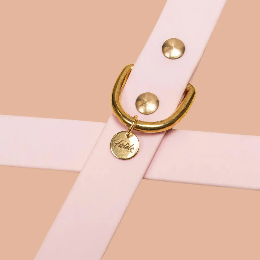 collier rose biothane