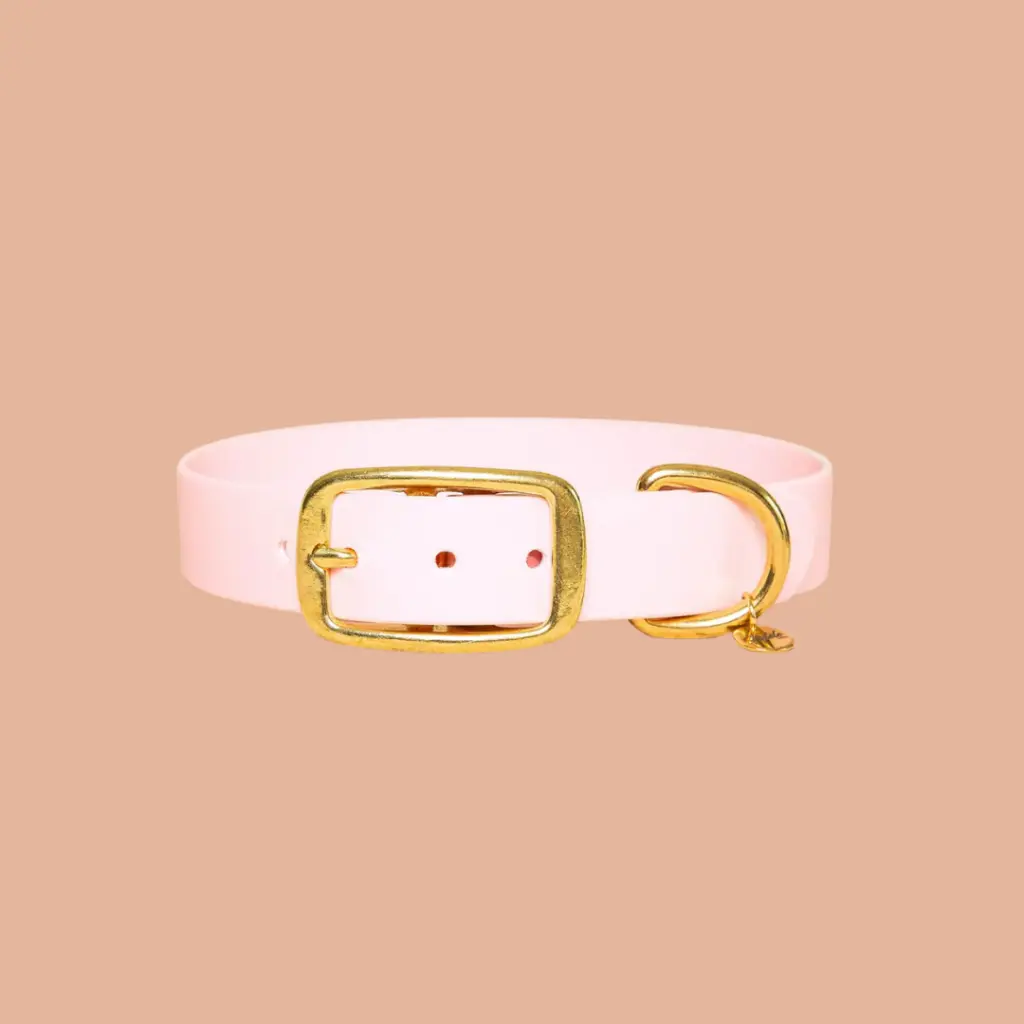 collier rose biothane