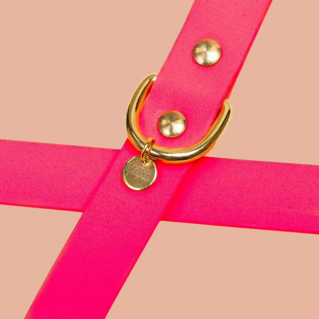 collier rose fluo biothane