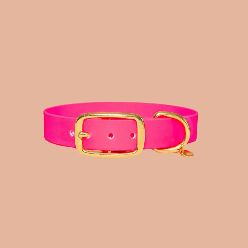 collier rose fluo biothane