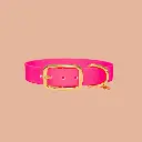 collier rose fluo biothane