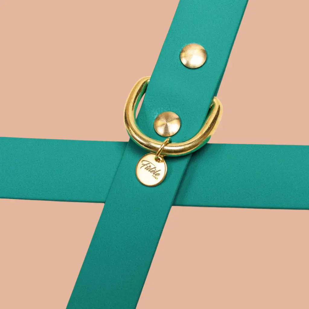 collier vert biothane