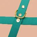 collier vert biothane