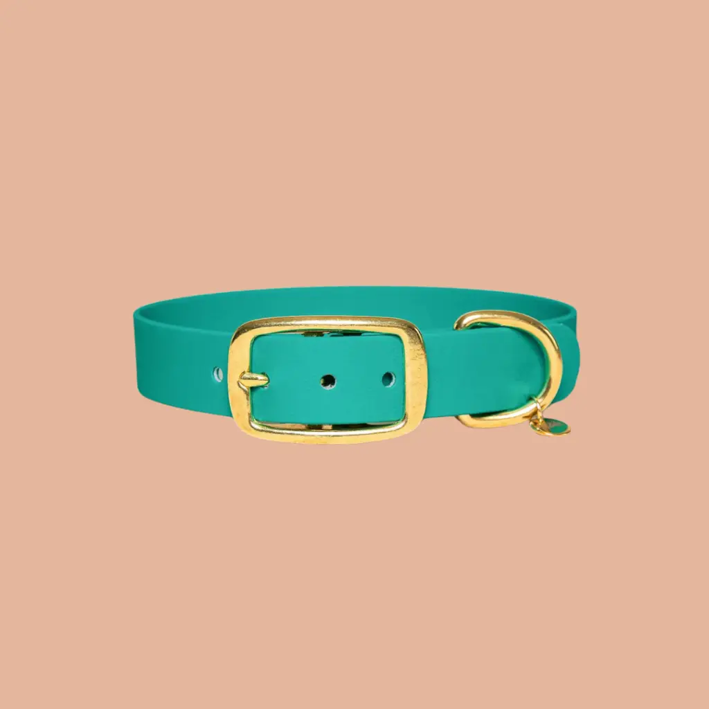 collier vert biothane