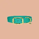 collier vert biothane