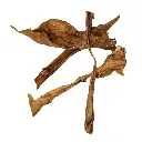18.webp
