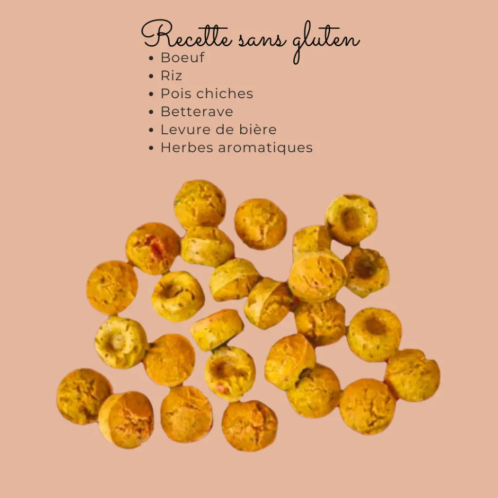 biscuits chien naturel
