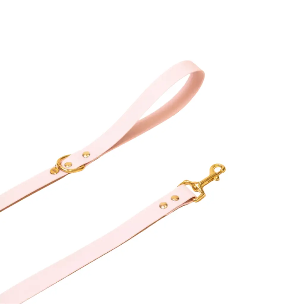 Laisse "L'aventurier" Rose Pâle 