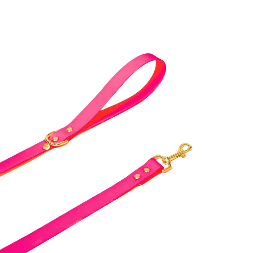 Laisse "L'aventurier" Rose Fluo 