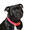 Collier "L'aventurier" Rose Fluo