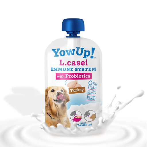 Le yaourt probiotique