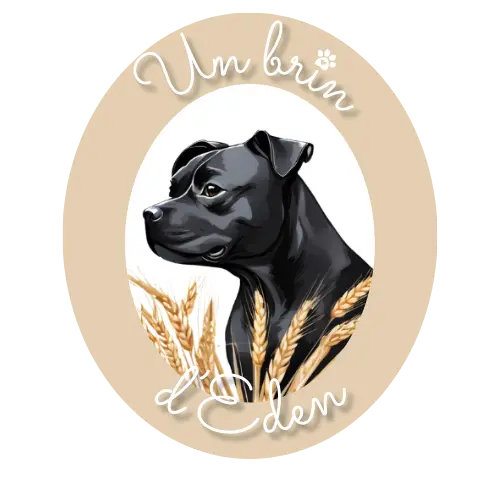 Un brin d’Eden